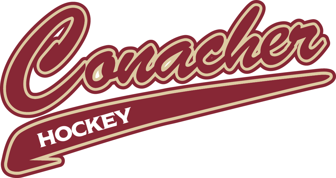 Spring Hockey